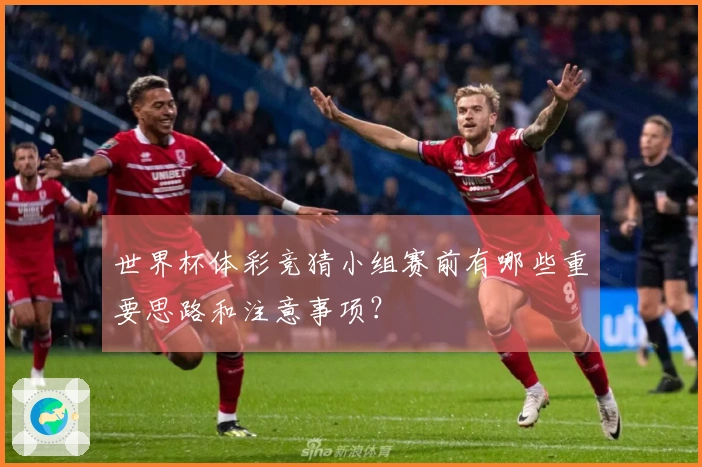 世界杯体彩竞猜小组赛前有哪些重要思路和注意事项?