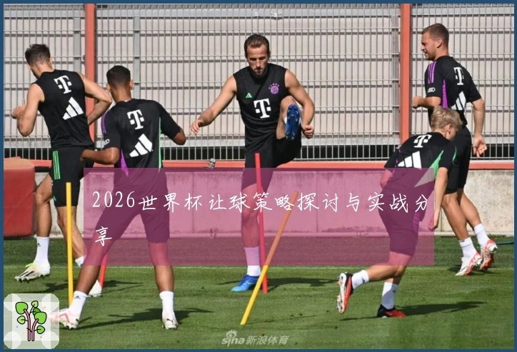2026世界杯让球策略探讨与实战分享