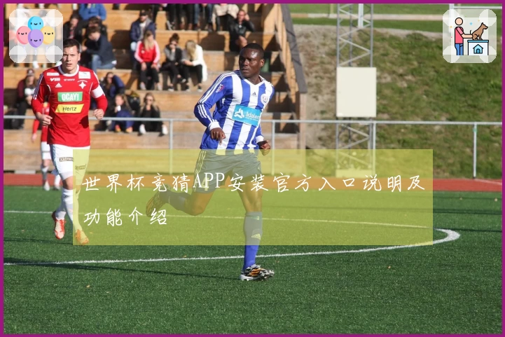 世界杯竞猜APP安装官方入口说明及功能介绍