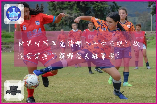 世界杯冠军竞猜哪个平台正规？投注前需要了解哪些关键事项？