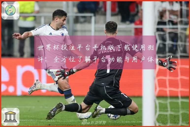 世界杯投注平台手机版下载使用测评：全方位了解平台功能与用户体验