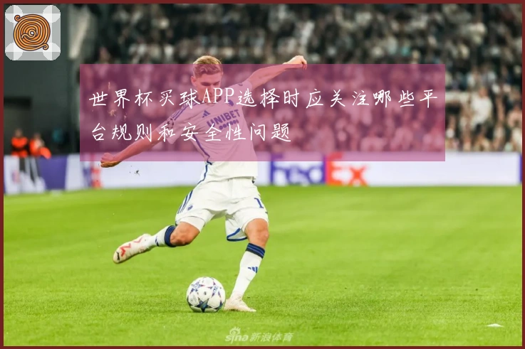 世界杯买球APP选择时应关注哪些平台规则和安全性问题