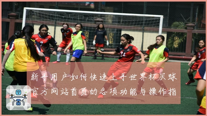 新手用户如何快速上手世界杯买球官方网站首页的各项功能与操作指南