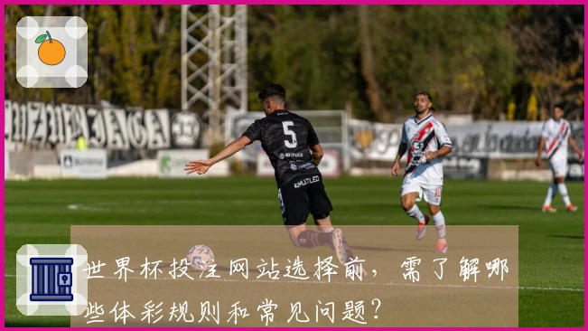 世界杯投注网站选择前，需了解哪些体彩规则和常见问题？