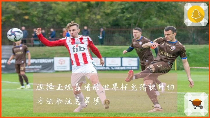 选择正规靠谱的世界杯竞猜软件的方法和注意事项
