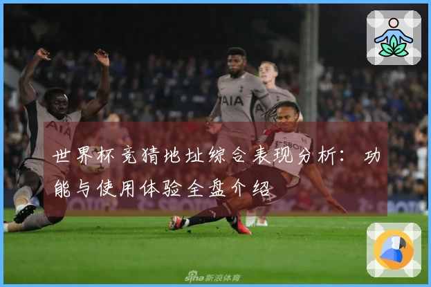世界杯竞猜地址综合表现分析：功能与使用体验全盘介绍