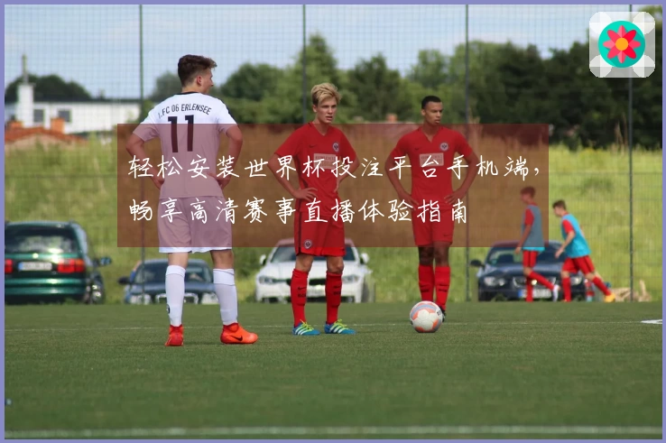 轻松安装世界杯投注平台手机端，畅享高清赛事直播体验指南