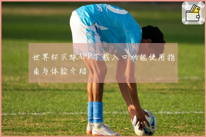世界杯买球APP下载入口功能使用指南与体验介绍