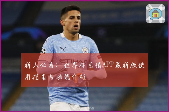新人必看：世界杯竞猜APP最新版使用指南与功能介绍