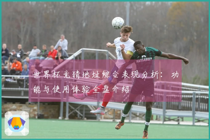 世界杯竞猜地址综合表现分析：功能与使用体验全盘介绍