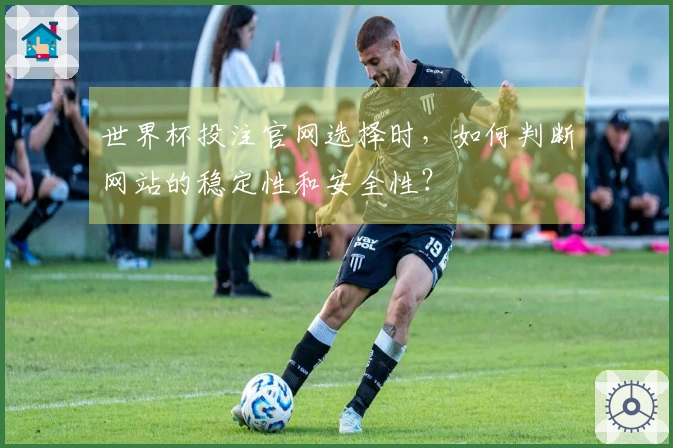 世界杯投注官网选择时，如何判断网站的稳定性和安全性？