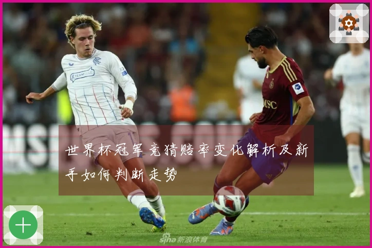 世界杯冠军竞猜赔率变化解析及新手如何判断走势