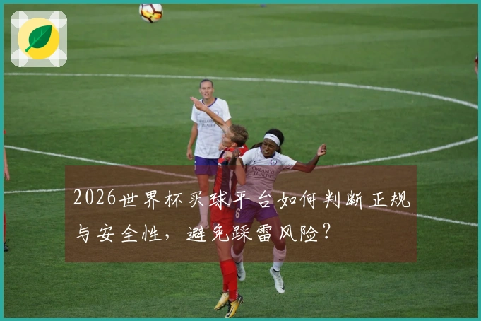 2026世界杯买球平台如何判断正规与安全性，避免踩雷风险？