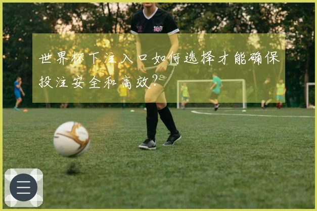 世界杯下注入口如何选择才能确保投注安全和高效？