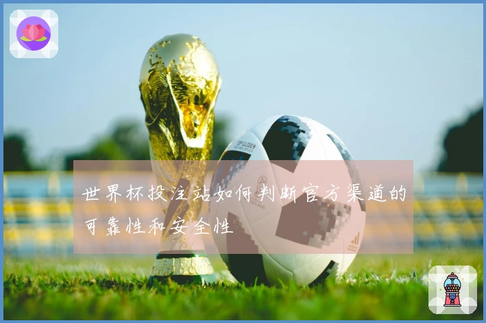 世界杯投注站如何判断官方渠道的可靠性和安全性