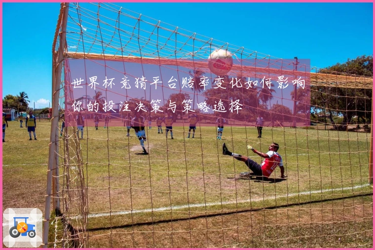 世界杯竞猜平台赔率变化如何影响你的投注决策与策略选择