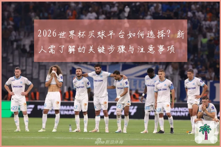 2026世界杯买球平台如何选择？新人需了解的关键步骤与注意事项