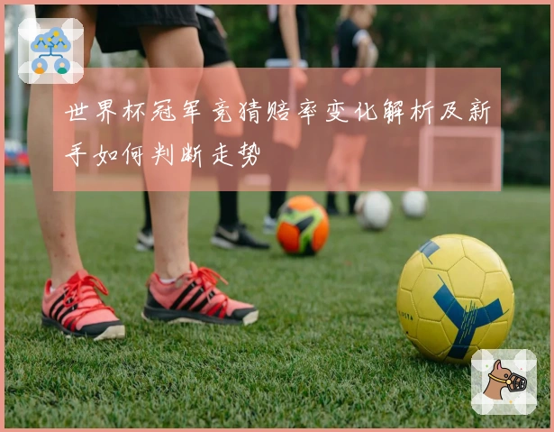 世界杯冠军竞猜赔率变化解析及新手如何判断走势