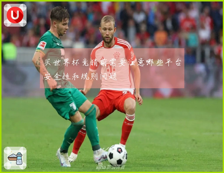 买世界杯竞猜前需要注意哪些平台安全性和规则问题