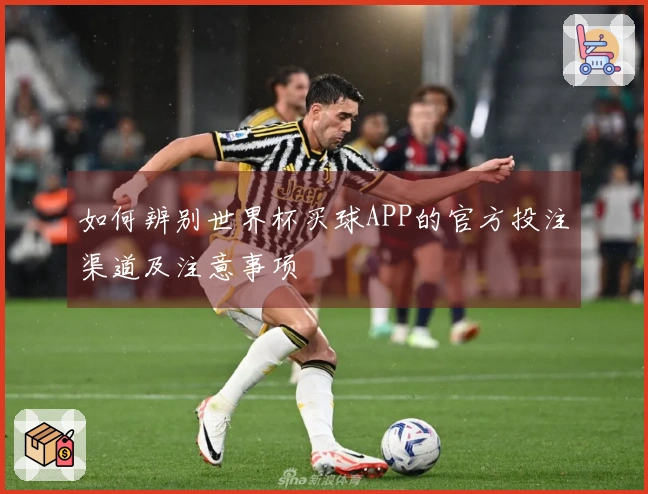 如何辨别世界杯买球APP的官方投注渠道及注意事项