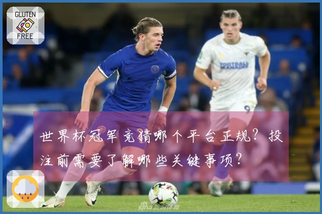 世界杯冠军竞猜哪个平台正规？投注前需要了解哪些关键事项？