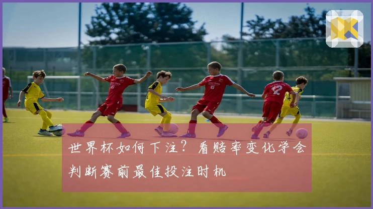 世界杯如何下注？看赔率变化学会判断赛前最佳投注时机