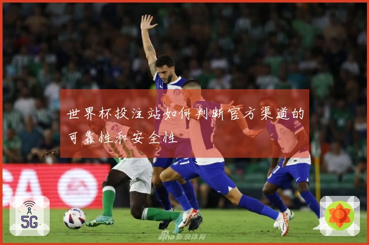 世界杯投注站如何判断官方渠道的可靠性和安全性