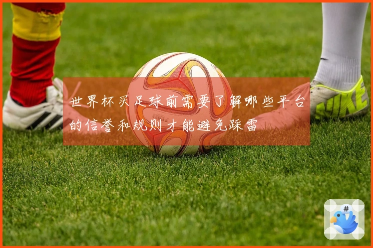 世界杯买足球前需要了解哪些平台的信誉和规则才能避免踩雷