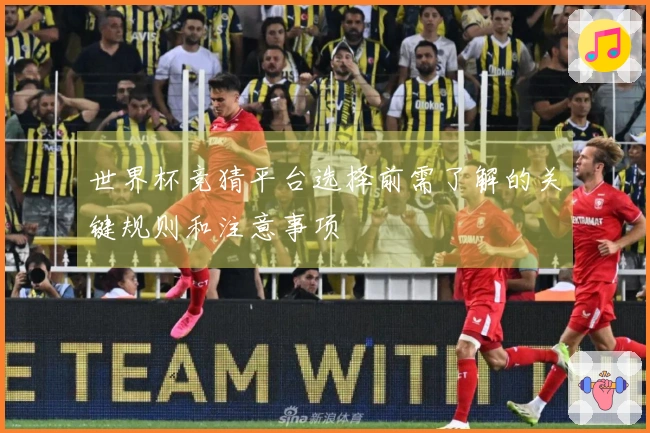 世界杯竞猜平台选择前需了解的关键规则和注意事项