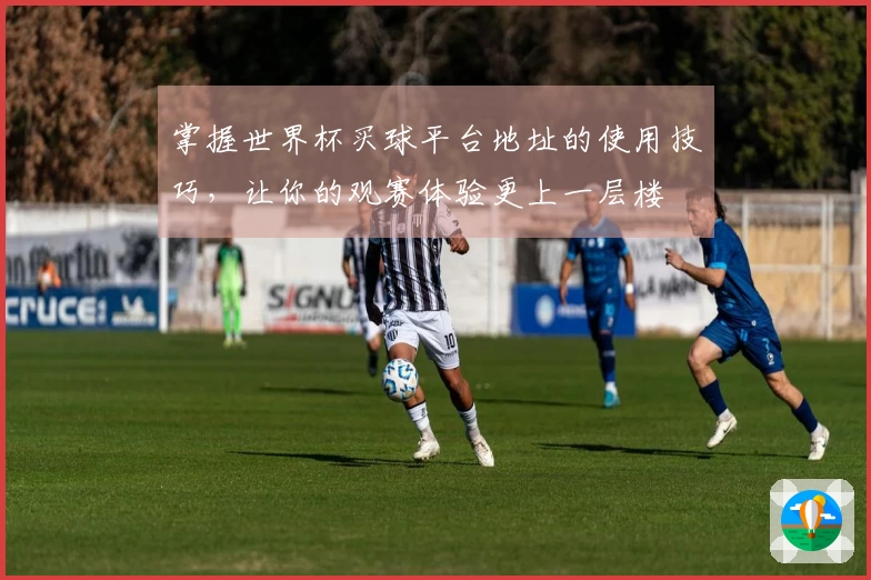 掌握世界杯买球平台地址的使用技巧，让你的观赛体验更上一层楼