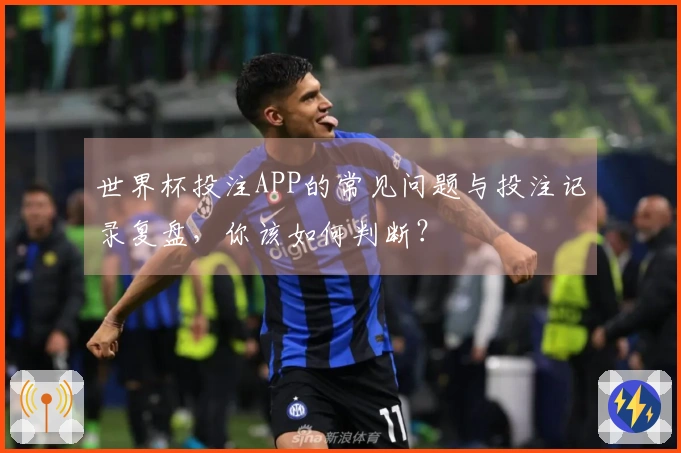 世界杯投注APP的常见问题与投注记录复盘，你该如何判断？